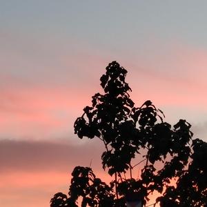 女雏破苞撞开宫口H视频
